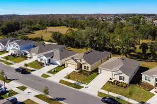 4355 Pebbles Throw Dr, Kissimmee, FL 34746 - Photo 60