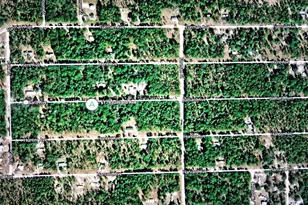 6179 Juilliard Ave, Keystone Heights, FL 32656 - Photo 1