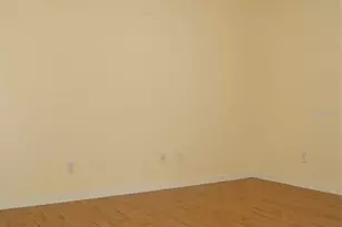 344 Sky Valley St, Clermont, FL 34711 - Photo 16