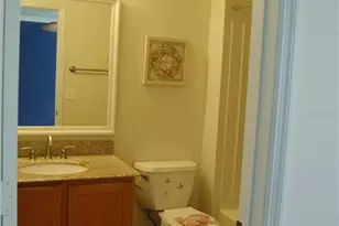 344 Sky Valley St, Clermont, FL 34711 - Photo 14