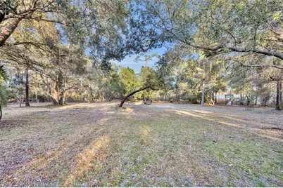 641 Pine Hill Boulevard, Geneva, FL 32732 - Photo 44