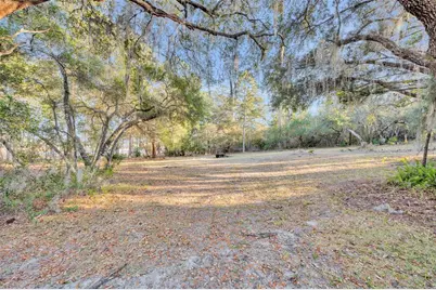 641 Pine Hill Boulevard, Geneva, FL 32732 - Photo 42