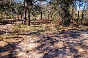 10367 Flycatcher Rd, Brooksville, FL 34613 - Photo 6