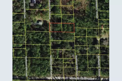 Ne 66th Avenue, Citra, FL 32113 - Photo 2