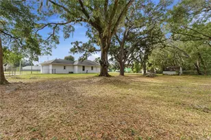 7946 Juniper Rd, Ocala, FL 34480 - Photo 24