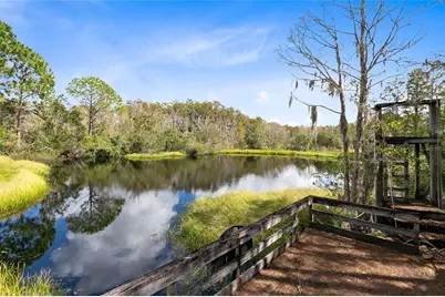 538 Murray Street, Osteen, FL 32764 - Photo 28