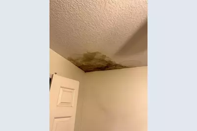 905 Bearded Oaks Terrace, Longwood, FL 32779 - Photo 20