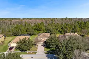 9045 Paolos Pl, Kissimmee, FL 34747 - Photo 36