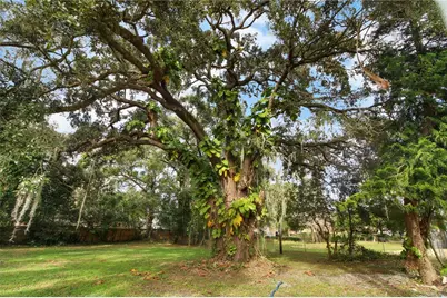 2524 Blue Lake Court, Apopka, FL 32703 - Photo 34