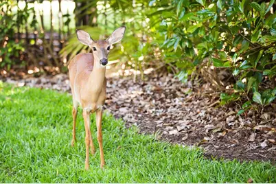 Lot 32, Cromwell Rd, Orlando, FL 32827 - Photo 6