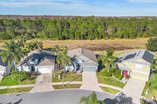 1739 Canoe Creek Falls Dr, Orlando, FL 32824 - Photo 34