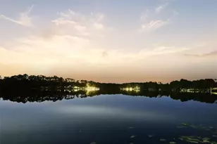 3519 Oriskany Dr, Orlando, FL 32820 - Photo 64