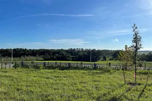 2896 Muller Oak Loop, Ocoee, FL 34761 - Photo 20