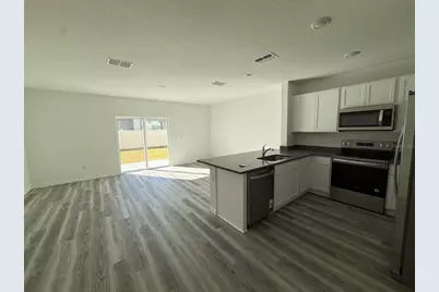 31264 Paper Birch Street, Wesley Chapel, FL 33545 - Photo 4