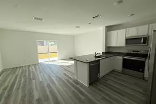 31264 Paper Birch St, Wesley Chapel, FL 33545 - Photo 4