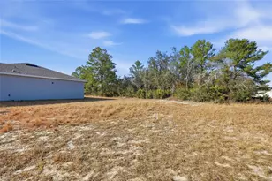 133 Violet Ct, Kissimmee, FL 34759 - Photo 4