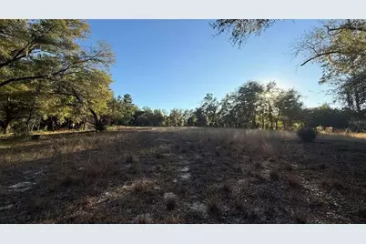 Ne 40th Street, Williston, FL 32696 - Photo 1