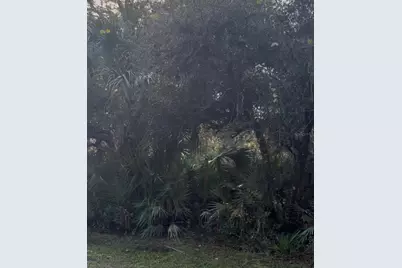 00 Dill Road, Orlando, FL 32820 - Photo 1