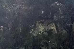 00 Dill Rd, Orlando, FL 32820 - Photo 1