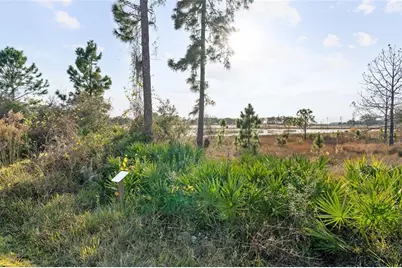 16975 Wingspread Loop, Winter Garden, FL 34787 - Photo 58