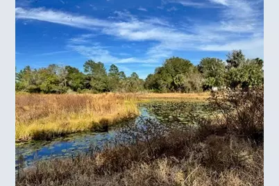 201 Lake Molly Avenue, Deland, FL 32724 - Photo 4