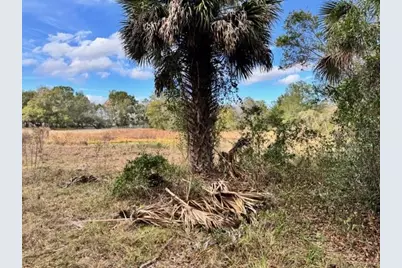 195 Lake Molly Avenue, Deland, FL 32724 - Photo 8