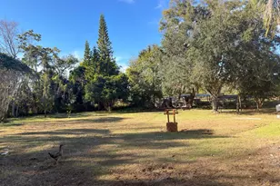 2426 Gresham Dr, Orlando, FL 32807 - Photo 24