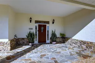 3201 Site to See Ave, Eustis, FL 32726 - Photo 4