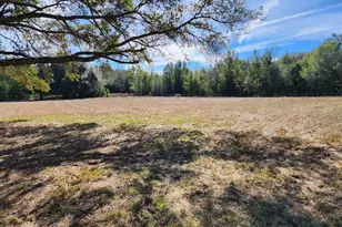 124 SE Loxley Glen, Lake City, FL 32024 - Photo 56