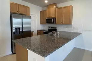 12264 Linear St, Orlando, FL 32832 - Photo 4