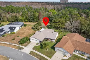 11321 Scenic View Ln, Orlando, FL 32821 - Photo 2