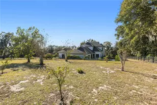 6905 Clayton St, Mount Dora, FL 32757 - Photo 8