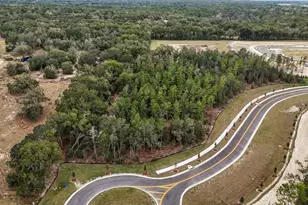 5936 Stoneybrook Hills Pkwy, Mount Dora, FL 32757 - Photo 1