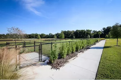 3519 Briarwood Grove Drive, Ocoee, FL 34761 - Photo 36