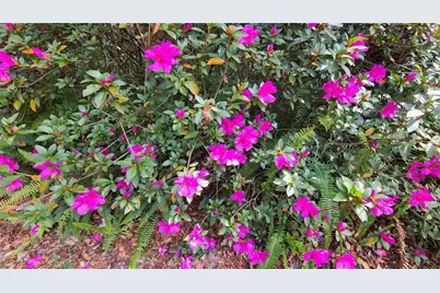 55 Oak Hollow Drive, Apopka, FL 32712 - Photo 66