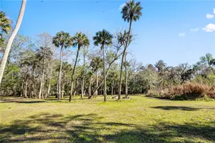 295 N Jungle Rd, Geneva, FL 32732 - Photo 32