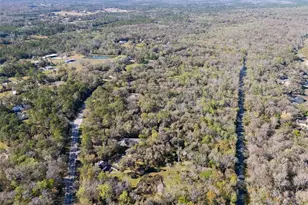 295 N Jungle Rd, Geneva, FL 32732 - Photo 50