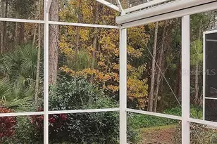 461 Luna Bella Ln, New Smyrna Beach, FL 32168 - Photo 22