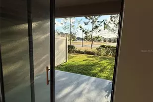 4841 San Martino Dr, Wesley Chapel, FL 33543 - Photo 6