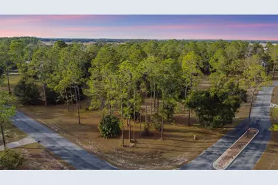 Falabella, Groveland, FL 34736 - Photo 38