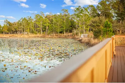 Falabella, Groveland, FL 34736 - Photo 14