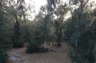 851 E Minnesota Ave, Deland, FL 32724 - Photo 36