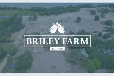 537 N Pollard, Oakland, FL 34787 - Photo 18