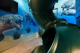 2180 Lelani Cir, Davenport, FL 33897 - Photo 6