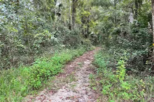 3100 NE 104th Terrace, Silver Springs, FL 34488 - Photo 70