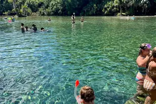 3100 NE 104th Terrace, Silver Springs, FL 34488 - Photo 84