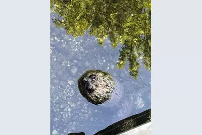 3100 NE 104th Terrace, Silver Springs, FL 34488 - Photo 88