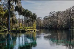 3100 NE 104th Terrace, Silver Springs, FL 34488 - Photo 74