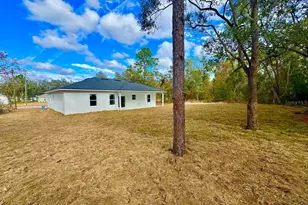 228 W Brimson Pl, Citrus Springs, FL 34434 - Photo 2