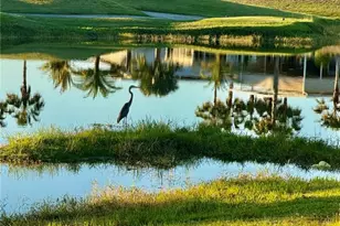 2253 St George Dr, Davenport, FL 33837 - Photo 48